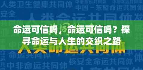 命运与人生的交织,探寻命运的可靠性之谜