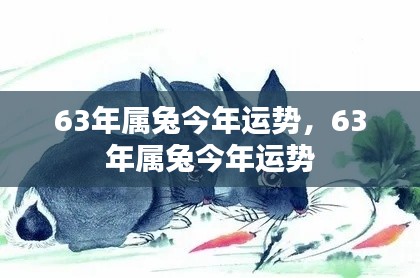 揭秘63年属兔人的今年运势