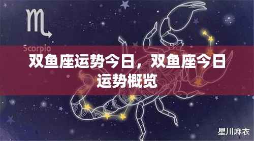 双鱼座今日运势概览分析