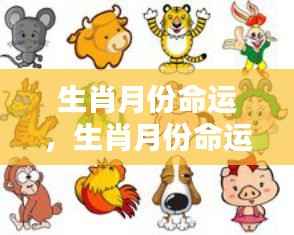 生肖月份命运揭秘,探寻生肖与月份间的神秘联系