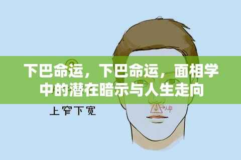 面相学视角下的下巴命运,揭示潜在暗示与人生走向的奥秘