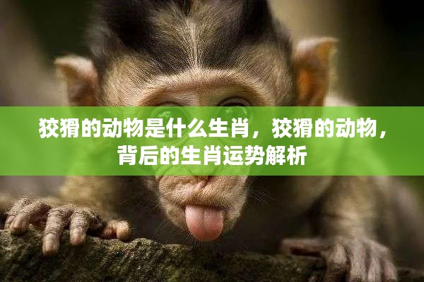 不知所云 第5页