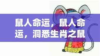 鼠人命运揭秘,洞悉生肖之鼠的运势走向与未来展望