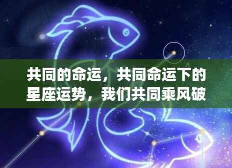 共同命运下的星座运势,乘风破浪的人生旅程