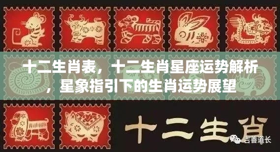 生肖星座运势展望,十二生肖表与星象指引下的运势解析