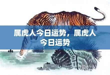 属虎人今日运势详解