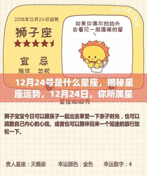 揭秘星座运势,12月24日所属星座的奥秘解读与运势揭秘