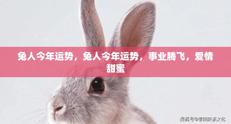兔人事业腾飞、爱情甜蜜,今年运势大解析
