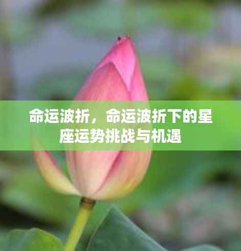 命运波折下的星座运势挑战与机遇,机遇与挑战并存,星座运势如何应对波折?