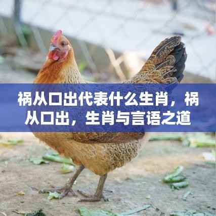 祸从口出,生肖与言语之道的微妙关联探讨