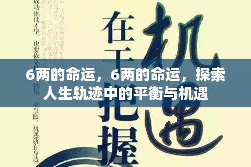 6两命运,探索人生平衡与机遇之路