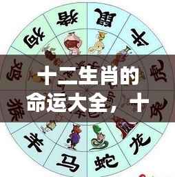 星象指引下的十二生肖命运解析大全