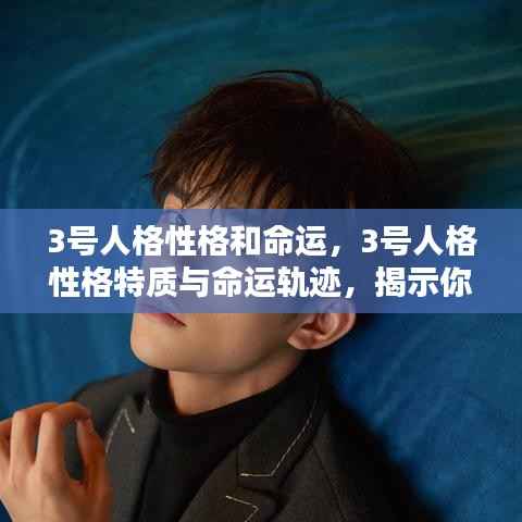 揭秘3号人格性格特质与命运走向,未来轨迹一览无遗