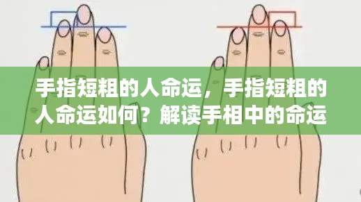 手指短粗的人命运揭秘,手相中的命运密码解读
