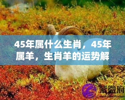算命 第152页