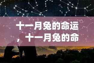 十一月兔星象指引,命运无限可能
