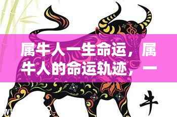 属牛人一生运势深度解析,命运轨迹与运势展望
