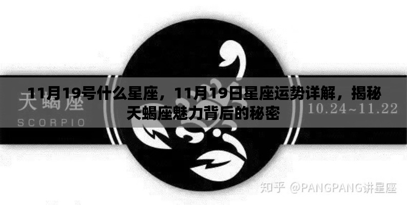 揭秘天蝎座魅力背后的秘密,11月19日星座运势详解与天蝎座运势展望
