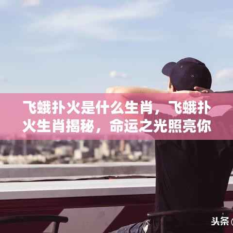 飞蛾扑火生肖揭秘,命运之光照亮前程之路