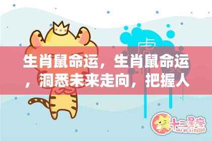 生肖鼠命运解析,洞悉未来走向,把握人生黄金机遇