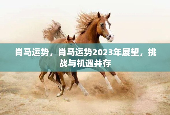 肖马运势2023年展望,挑战与机遇并存