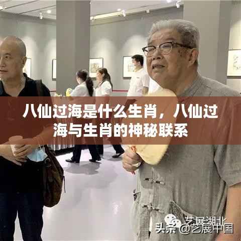 八仙过海与生肖的神秘关联,揭秘背后的故事与联系