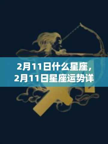 揭秘,2月11日星座性格与运势详解,掌握未来走向!