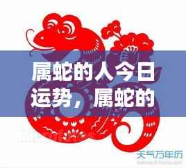 属蛇人今日运势详解