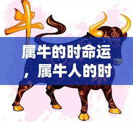属牛人的坚韧与机遇,时空命运解析