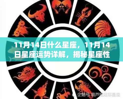揭秘星座性格魅力与未来走向,11月14日星座运势详解及星座属性解析