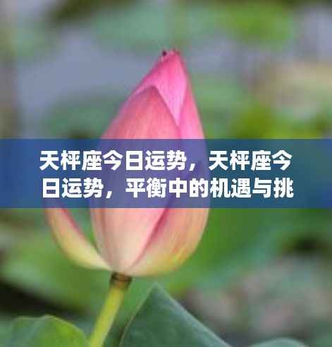 天枰座今日运势,平衡中的机遇与挑战并存