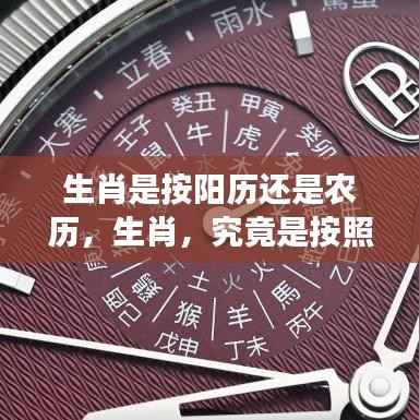 逸兴遄飞 第4页