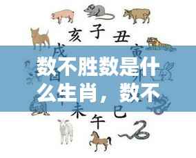 生肖运势揭秘,神秘力量下的数不胜数生肖揭秘