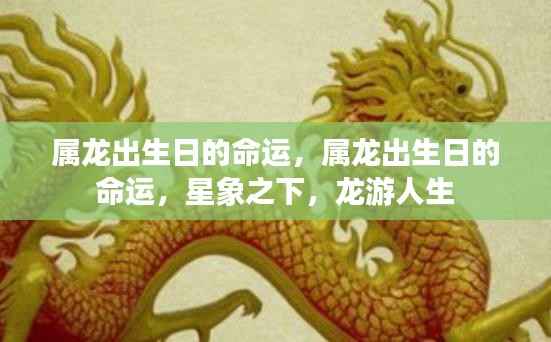 属龙出生日的命运解析,星象指引,龙游人生之路