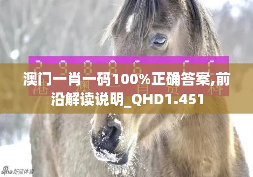 澳门一肖一码100%正确答案,前沿解读说明_QHD1.451