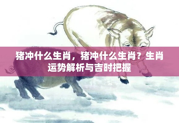 猪冲哪些生肖?生肖运势详解与吉时掌握技巧