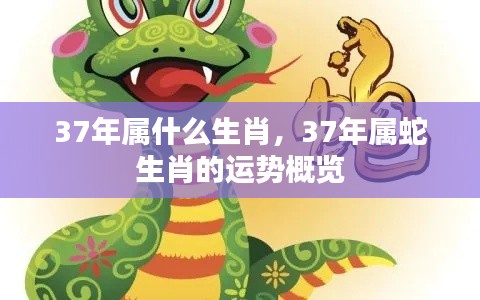 37年属蛇生肖运势概览