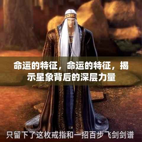 漫天飞舞 第4页