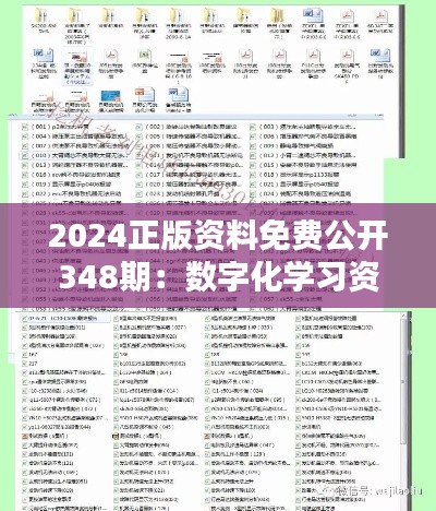 2024正版资料免费公开348期:数字化学习资源的新篇章