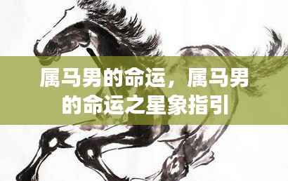 属马男的命运之星象指引与未来展望