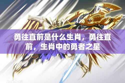 生肖勇者之星,勇往直前揭秘勇者生肖的奥秘