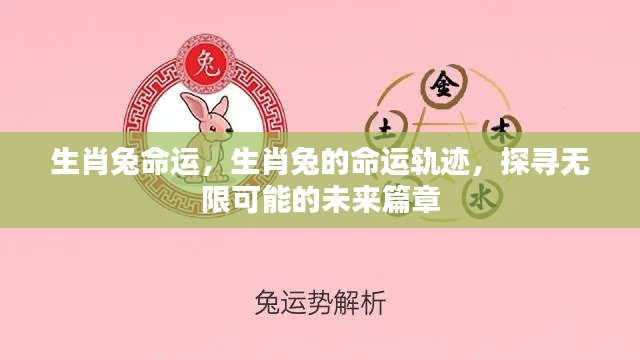生肖兔命运揭秘,探寻未来篇章的无尽可能轨迹