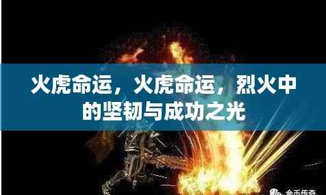 烈火中的坚韧与成功之光,火虎命运揭秘