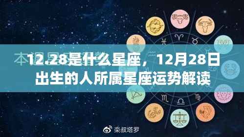 12月28日星座运势解读,探寻星座运势与性格特征之路