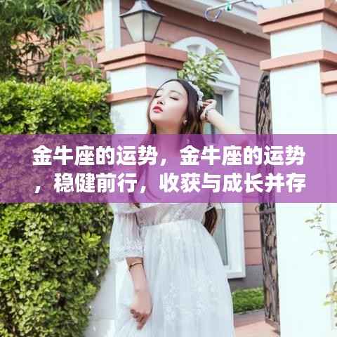 金牛运势展望,稳健前行,收获与成长双丰收