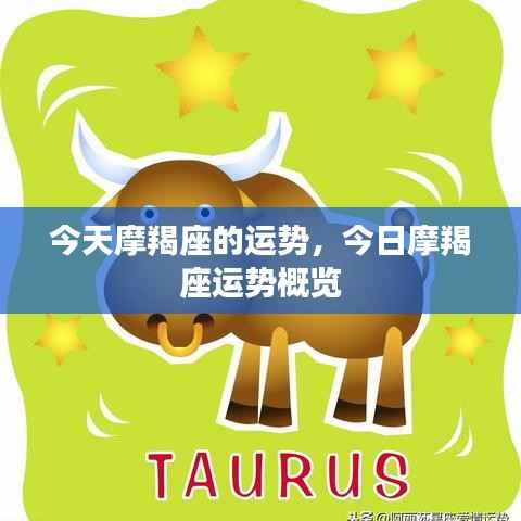 今日摩羯座运势概览及特点分析