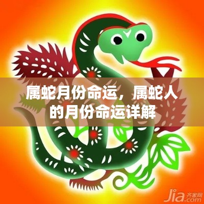 属蛇人的月份命运详解与解析
