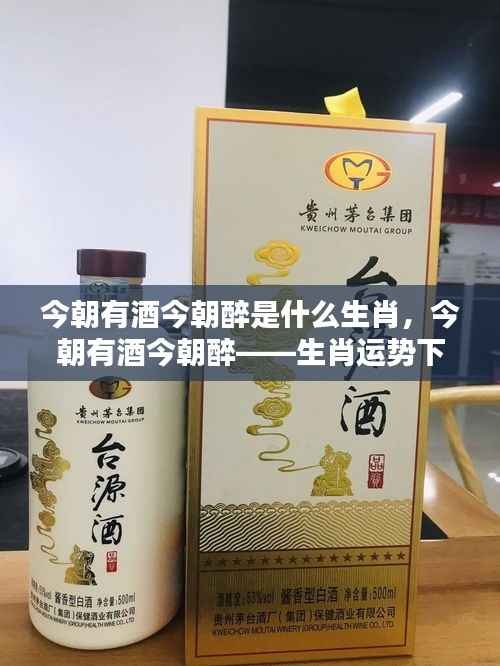 今朝有酒今朝醉,生肖运势下的洒脱生活态度探索