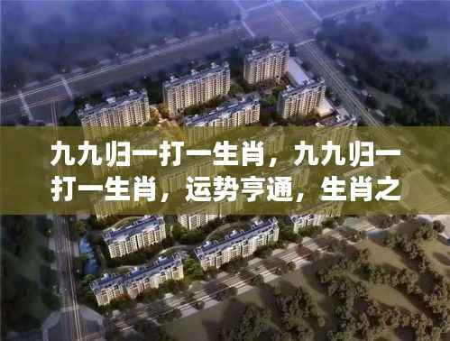 九九归一生肖运势揭秘,亨通通达,生肖之光闪耀