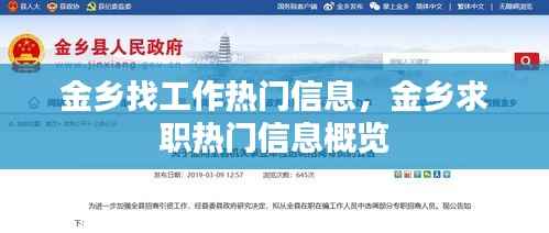 金乡求职热门信息及工作概览